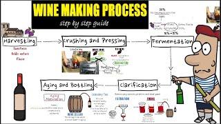 Wine making process step by step Detail guide of wine makingpreparation and making of wine