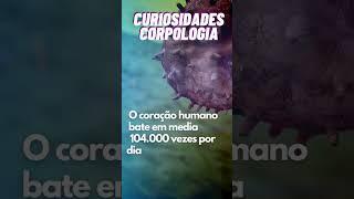 Coração  Curiosidade Corpologia