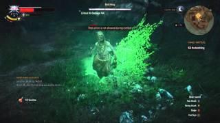 Witcher 3    Botchling Easy Kill Bloody Baron