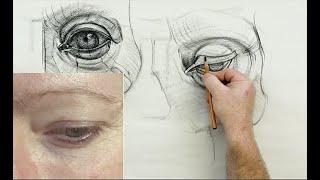 ANATOMY FOR ARTISTS Eye Anatomy