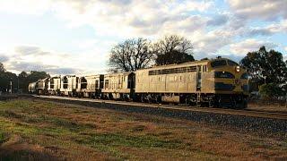 GM Bulldogs in Australia - S303 on ELZ Charlton Grain 2011