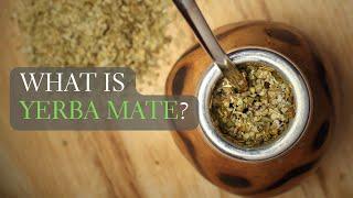 What is Yerba Mate? Yerba Mate Facts and More