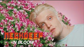 Neck Deep - In Bloom Official Music Video