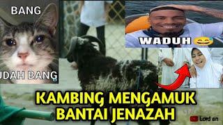 Meme azab kambing bantai 1squad