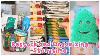  30 Minutes Satisfying Restock And Organizing Tiktok Storytime Compilation Part139  Lisa Storytime