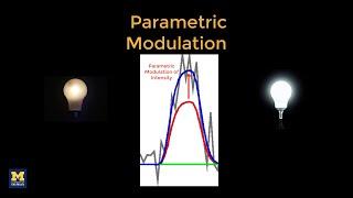 Parametric Modulation in fMRI Introduction