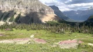 Glacier National Park Mount Oberlin Trail