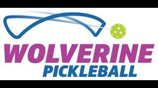 Wolverine Pickleball - 4.0+ Singles - Abhay Annaswamy vs Robert Kubik - Match 8