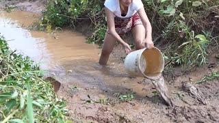 OMG Awesome Pretty girl catch a lot of fish Cambodia style  - Easy to net fishing in farm