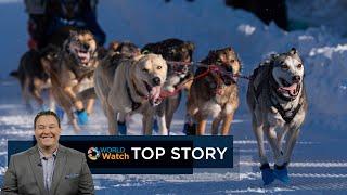 Top Story  Sled Dogs and Dog Show