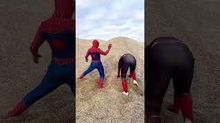 Spidey Head Stuck Compilation