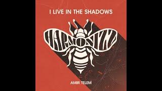 Amie Telem - I Live in the Shadows Original Remix