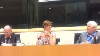 CEJI at the Inter Parliamentary Coalition on Antisemitism  European Parliament Brussels