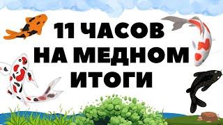 Челендж марафон 11 часов на медном озере РР4  Русская рыбалка 4