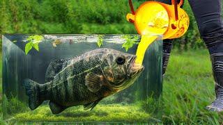 Experiment LAVA vs FISH Under Water