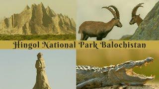 Wildlife and Wonders of Hingol National Park Balochistan  Pakistan Geographic