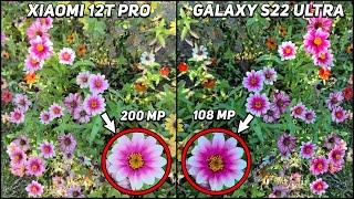 Xiaomi 12T Pro vs Samsung Galaxy S22 Ultra Camera Test