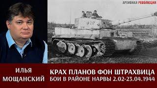 Илья Мощанский. Крах планов графа фон Штрахвиц. Бои в районе Нарвы 2.02-23.04.1944