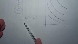 Preferencias y equilibrio del modelo de consumo intertemporal