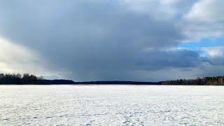 УЕХАЛИ В ОЧЕНЬ КРАСИВОЕ МЕСТО А КУРЫ ТЕМ ВРЕМЕНЕМ ПРЕПОДНЕСЛИ СЮРПРИЗ КУПИЛИ ДОМ В ДЕРЕВНЕ