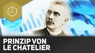 Le Chatelier - Das Prinzip vom kleinsten Zwang - REMAKE