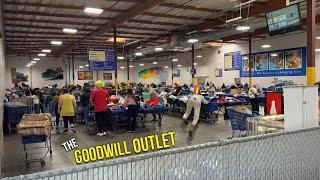 IT GETS WILD AT THE GOODWILL OUTLET BINS Thrifitng for Resale