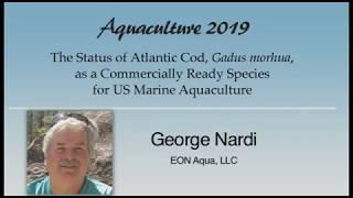 George Nardi Atlantic Cod Gadus morhua Aquaculture