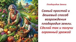 Наука и Плодородие Два способа получения углерода - основы жизни №59124