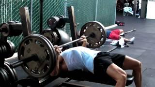 WBFF Pro - Rob Riches. Video Blog. Video #14 Chest & Triceps @ Golds Gym Venice. Part 1 of 2