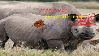 crippl coekie