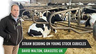 Cubicle Dimensions & Bedding on Young Stock Cubicles - David Waton UK