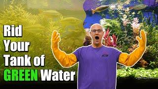 Fix GREEN Water in Aquariums