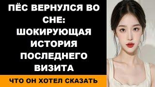 Пёс вернулся во сне шокирующая история последнего визита