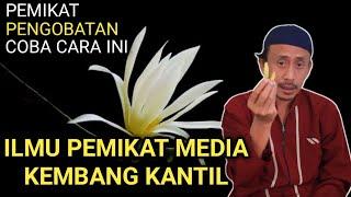 ILMU PEMIKAT MEDIA KEMBANG KANTIL