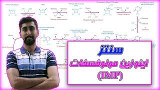 بیوسنتز اینوزین مونوفسفات IMP در بیوشیمی نوکلئوتیدها