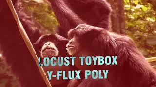 Locust Toybox - Y-Flux Poly