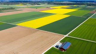 Top 10 Biggest Farms in the World 2023