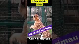 Histeris ..... Irfan Hakim menjerit#shorts #dehakimschannel #selebritis  #alshadahmad
