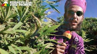 Ras Cup & Good Over Evil - Legalize Marijuana Official Video 2022
