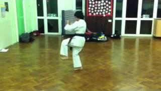 SHOTOKAN KATA-Hangetsu-kata-Slow to count 21st century karate warriors