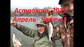 ЧАСТЬ 3 Вобла на червяАстрахань2021Нормы нарушеныНе удержались100кг за день