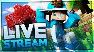 MINECRAFT STREAM UHC SKWARS & BEDWARS #Minecraft  BaumBlau