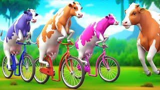 3 Giant Color Cows Race to Victory in a Funny Cycle Challenge Funny Cow Cartoon Videos