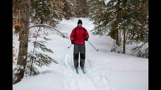 Skiing the Jackrabbit Trail