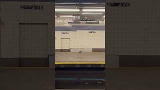 Subway rat in NYC 