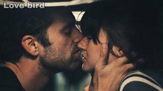 Endings Beginnings Kiss Scene — Frank and Daphne Sebastian Stan and Shailene Woodley