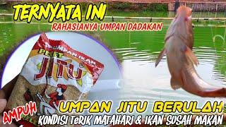 UMPAN JITU BERULAH‼️ RACIKAN Umpan IKAN MAS Paling JituSolusi Ampuh IKAN MAS Susah Makan