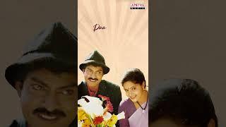 Evergreen Song #Nesthamaiddari #Pellipandiri #Jagapathibabu #Raasi #telugushorts #telugusongs