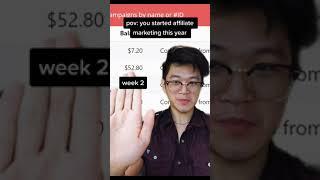 pov you started affiliate marketing