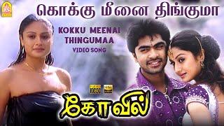 Kokku Meenai Thingumaa  - HD Video Song  Kovil  Simbu  Sonia Agarwal  Harris Jayaraj  Ayngaran